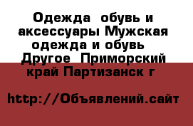 Одежда, обувь и аксессуары Мужская одежда и обувь - Другое. Приморский край,Партизанск г.